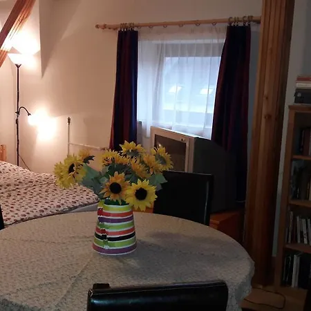 公寓 Vecsey Apartman *